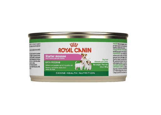 Royal Canin ® Starter Mousse Dog Food - exxab.com
