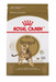 Royal Canin ® Bengal Cat Dry Food 2KG - exxab.com