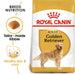 Royal Canin ® Golden Retriever 12KG - exxab.com