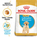 Royal Canin ® Labrador Puppy 12 KG - exxab.com