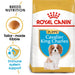 Royal Canin ® Cavalier King Charles Puppy 1.5kg exxab.com