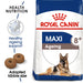Royal Canin ® Maxi Ageing (8+) 15KG - exxab.com