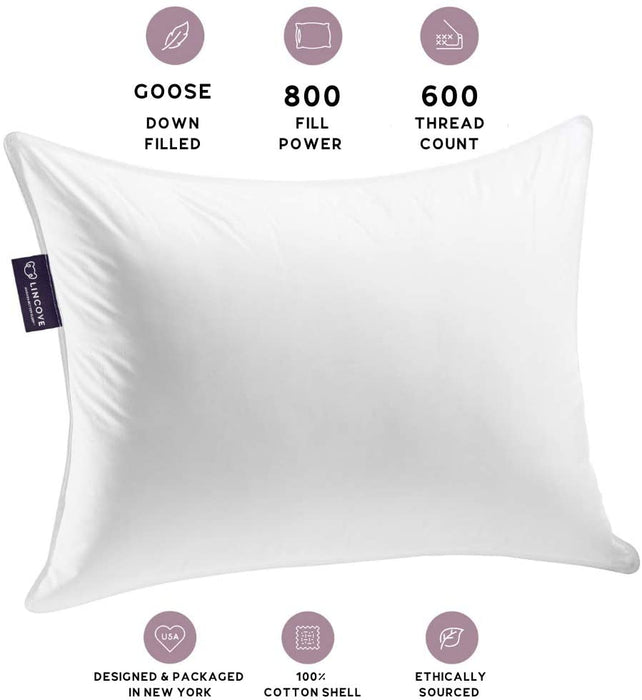 Lincove Classic Natural Luxury Sleeping Pillow 100% Goose Down exxab.com