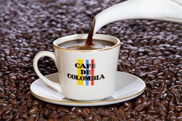 Bunni Colombian Coffee Blend Medium Dark - exxab.com