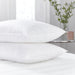 White duck down and feather pillows 1.2 KG - exxab.com